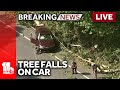 LIVE: SkyTeam 11 is over a tree that fell onto a car on Route 40 in Baltimore County - wbaltv.com