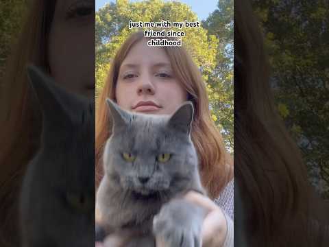 #cat #cats #catvideos #funny