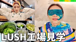 動画サムネイル