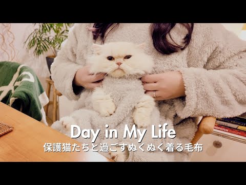 保護猫たちと過ごすぬくぬく着る毛布