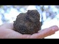 Entretien avec Mr Alègre producteur de truffes à Richerenches dans le Vaucluse