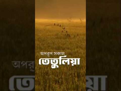 বাংলার প্রতিটি সকাল যেনো কবিতায় আকা🌺🌳 #viral #shortsvideo #love #youtubeshorts #tranding