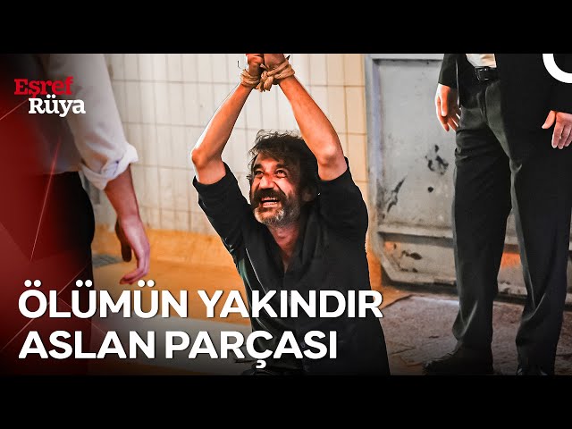 Dayak Yerken Bile Racon Kesen Erkek Dayak Yerken Bile Racon Kesen Erkek