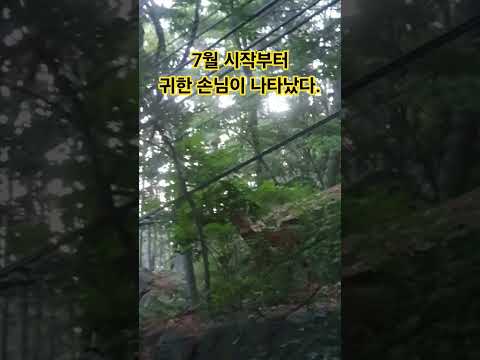 유튜브이미지