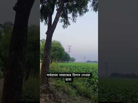 নামাজ! নামাজ  #namaz #waz #mizanur_rahman_azhari