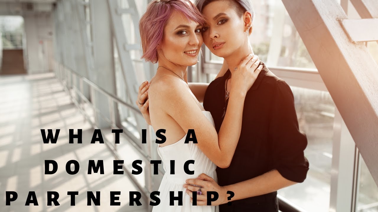 What is a domestic partnership?