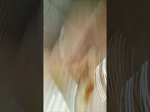 अब है जूदाही का मौसम##टैडिंग विडियो #वायरल विडियो #