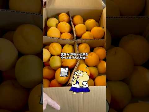 夏休みが終わった事を受け入れるためのあんずジャムクレープ#家族の時間 #手作りスイーツ#クレープ#杏ジャム#夏休み終わり