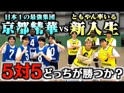 【バスケ】日本一の高校京都精華vsともやん率いる新入生で5on5したらめちゃくちゃ白熱した戦いなった。Basketball