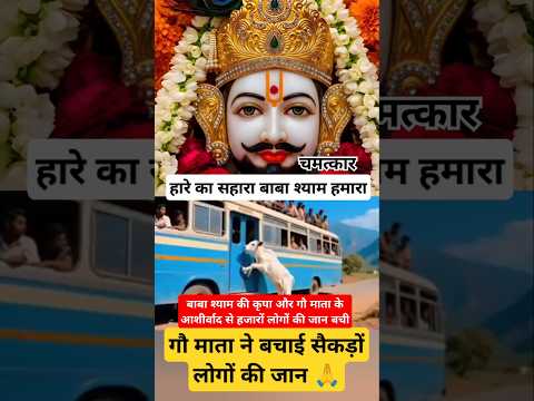 गौ माता ने हजारों लोगों की जान बचाई जय हो🙏🥺#gaumata #khatushyam #viralnews