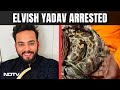 Elvish Yadav Arrested In Snake Venom-Rave Party Case