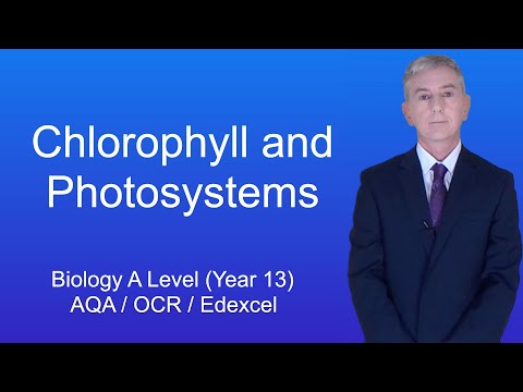 A Level Biology Revision (Year 13) “Chlorophyll and Photosystems”
