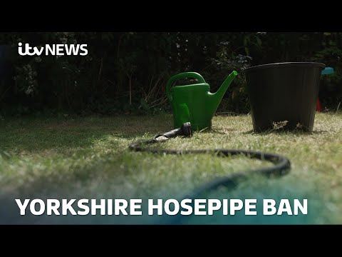 Yorkshire Water announces hosepipe ban after driest and warmest spring on record | ITV News