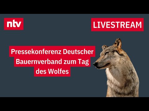 LIVE: Pressekonferenz Deutscher Bauernverband zum Tag des Wolfes