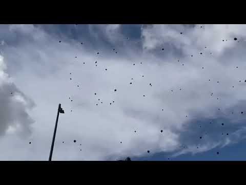 Μαύρα μπαλόνια στον Αττικό ουρανό στη μνήμη των θυμάτων της τραγωδίας των Τεμπών| CNN Greece