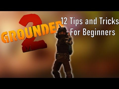 12 Things I WISH I KNEW SOONER About GROUNDED 2! | Grounded 2 tips and tricks