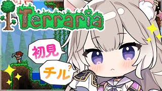 癒しの声でまったりチル時間。ムカデのボスたおす #7【Terraria】【夜絆ニウ / NeoPorte (ネオポルテ) 】