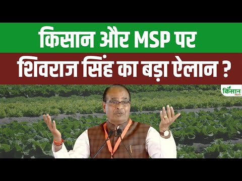 Shivraj Singh on MSP: एमएसपी को लेकर शिवराज ने Congress को घेरते हुए कर दिया  बड़ा ऐलान। Crop MSP