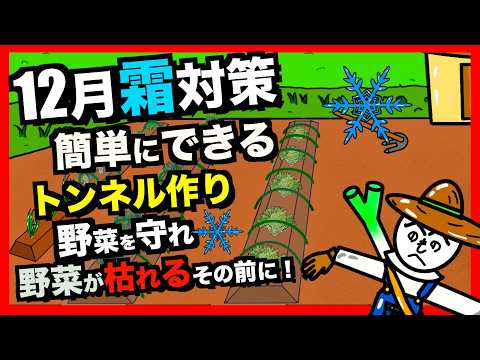 【野菜寒さ対策】実は簡単！トンネル栽培で野菜を霜から守る方法を紹介！さらに害虫対策にもなる！【アニメでわかる家庭菜園解説】