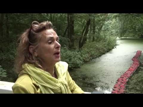levensader: Amsterdamse bos