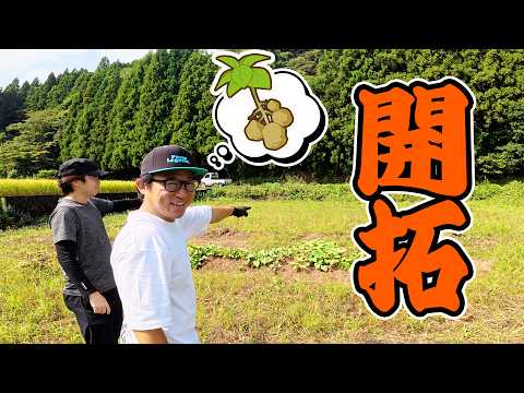 【残り320日】新しいエリアに作物を作る‼️