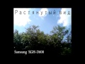 Samsung SGH-D600  VideoTest & Видео тест