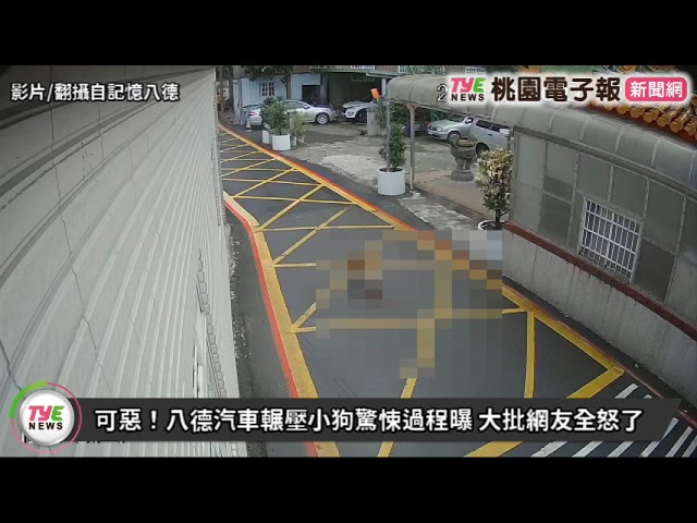 【有片】可惡！八德汽車輾壓小狗驚悚過程曝 大批網友全怒了