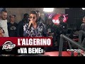 lalgerino va bene mp4 lalgerino va bene mp4