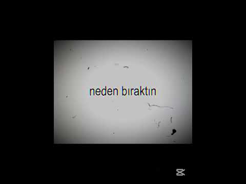 #lyrics #heyecan #keşfet #edit #deha #music #swirf #football #erosiçinadalet #automobile