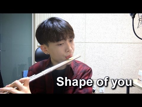 Shape of You - Ed Sheeran Flute Beatbox Cover