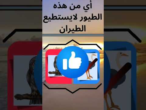 خمن إسم الحيوانات 🤔‏