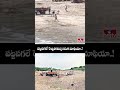Sand Mafia In Asifabad | పట్టపగలే  రెచ్చిపోతున్న ఇసుక మాఫియా..! | hmtv - 00:37 min - News - Video
