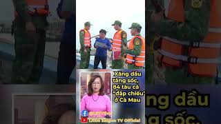 Xăng dầu tăng sốc, 84 tàu cá “đắp chiếu” ở Cà Mau