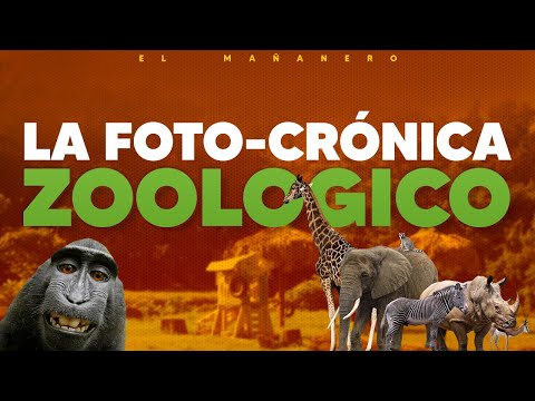 La Fotocrónica del ZOOLOGICO Mañanero