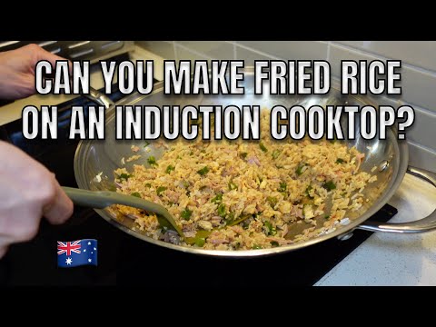How to Make Fried Rice on Induction Cooktop using Stainless Steel Wok