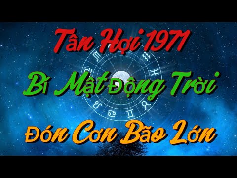 BÍ MẬT ĐỘNG TRỜI: Tân Hợi 1971 Chuẩn Bị Đón CƠN BÃO LỚN Trong Đại Vận 2025 !