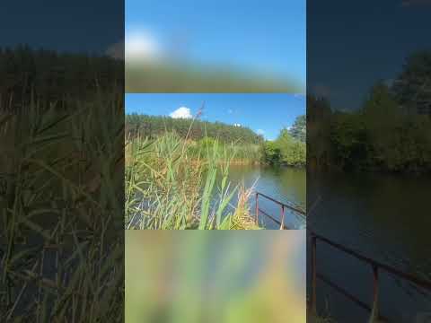 Попри вибухи, до життя, до перемоги