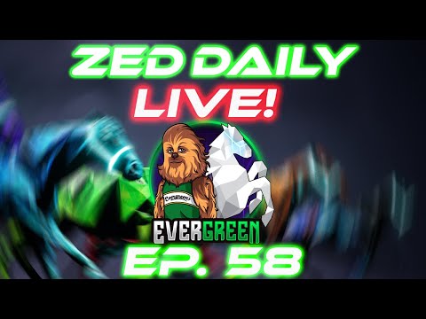 Zed Daily EP. 58 | Podium Plate & Chill | Zed run