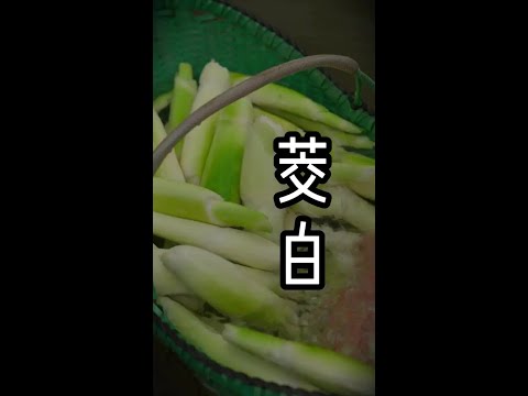 茭白不只可以炒着吃，还可以泡着吃哟！#抖音创作季 #向往的生活就这样 #新农人计划2025 #乡村生活 #农村美食
