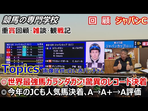 【ジャパンC2025】回顧・雑談・観戦記 想定通りの人気馬決着 観戦記はアドマイヤテラのいきなりの落馬に頭が真っ白