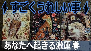 🤗凄く嬉しい事あなたに始まろうとしている事🌟タロット占い🔮