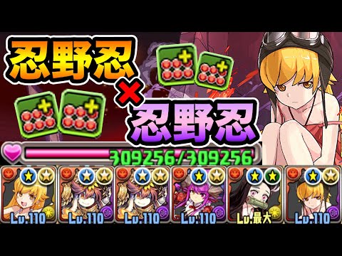 忍野忍が可愛い！HP6.25倍！3コンボ加算+固定100万ダメ！裏修羅の幻界で使ってみた！物語シリーズ【スー☆パズドラ】