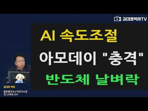 뉴욕증시 AI 속도조절 "아모데이 충격"  반도체 날벼락 #김대호박사 #삼성전자 #SK하이닉스