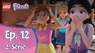 Lego Friends 2x12