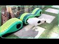 Upcycled mobile shelters give Cairos cats new homes  - 01:05 min - News - Video