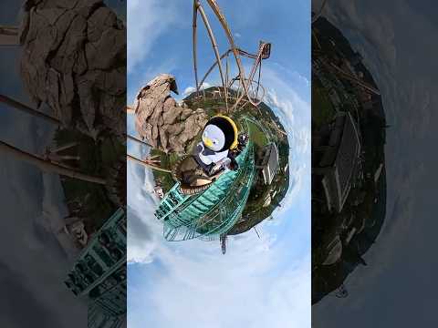 빙글빙글 돌아가는 펭귄의 하루🌎 #수학여행 #경주월드