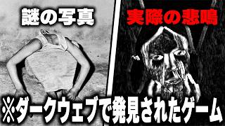 "ダークウェブ"で発見された『所持するだけで逮捕されるゲーム』を実際にプレイしたらマジでヤバすぎた...【Sad Satan】