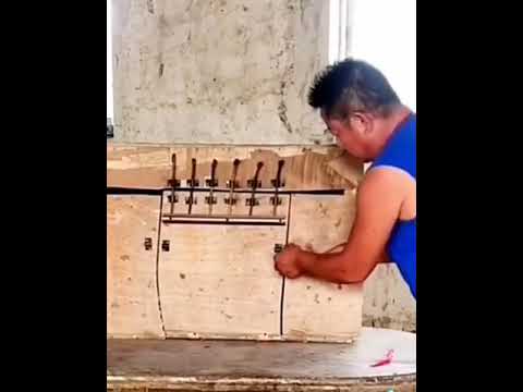 #animals#animallovers#part1