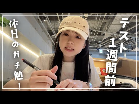 ついにテスト1週間前！休日にがっつり勉強する高校3年生の1日Vlog📖【inシェアラウンジ】