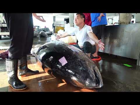 This Is How Giant Bluefin Tuna Is Expertly Cut!